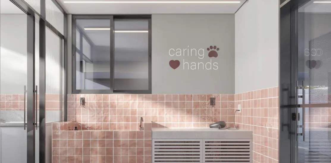 Pet Care — banho e cuidados para os pets